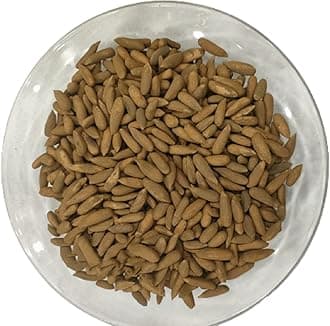 Pine Nuts In Shells- Chilgoza - premium Quality, Fresh Pine nuts (250)